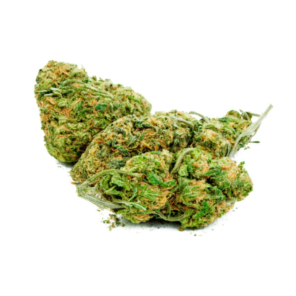 Mimosa Feminized Seeds - Image 2