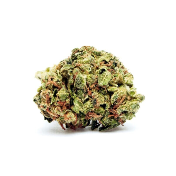 MOAB - Mother of All Buds ® Feminized Seeds - Image 2