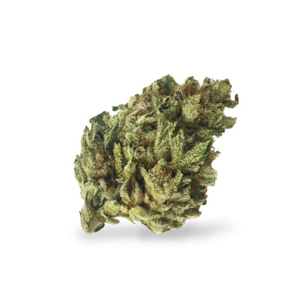 Night Nurse Feminized Seeds - Image 2