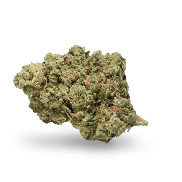 Limoncello Haze ® Feminized Seeds - Image 2
