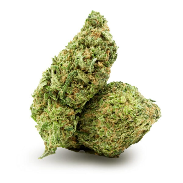 Lemonade Regular Seeds - Image 3