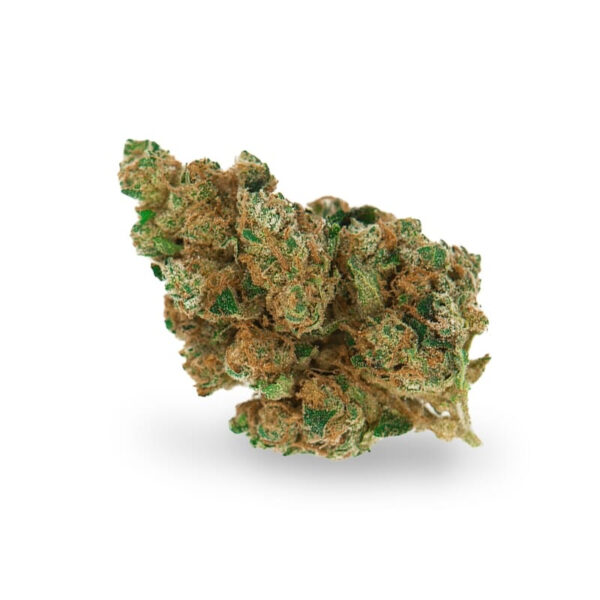 White Widow XTRM ® Regular Seeds - Image 2