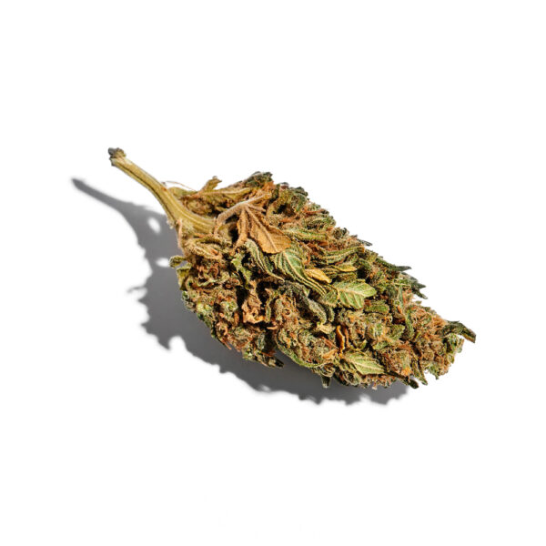 Runtz Feminized Seeds - Image 2