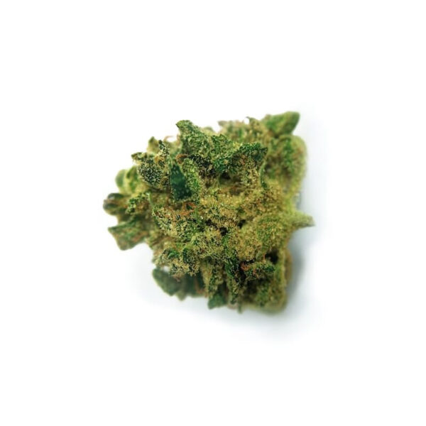 Misty Regular Seeds - Image 2