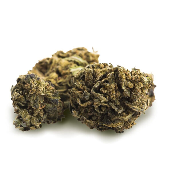 Stardust Feminized Seeds - Image 3