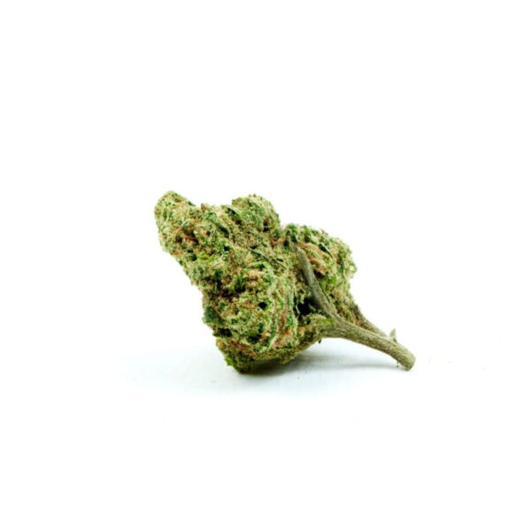 Cheese Regular Seeds - Image 2