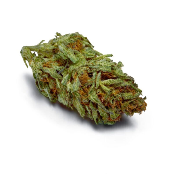 Girl Scout Cookies XTRM ® Feminized Seeds - Image 2