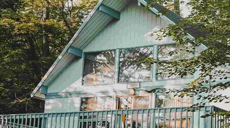 How To Grow Weed At Home