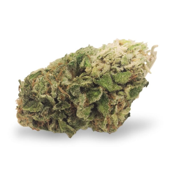 Northern Lights XTRM ® Regular Seeds - Image 4
