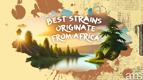 Strains that originate Africa